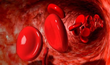 再生障礙性貧血治療用藥