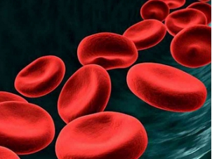 地中海貧血吃什么藥治療