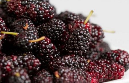 慢性腎臟病患者為什么會(huì)貧血