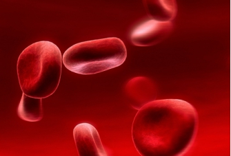 腎性貧血的原因，危害及診治