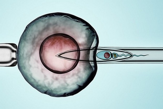 滄州助孕公司（滄州三代試管嬰兒助孕）