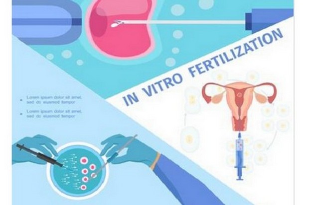 滄州助孕公司-滄州三代試管嬰兒助孕