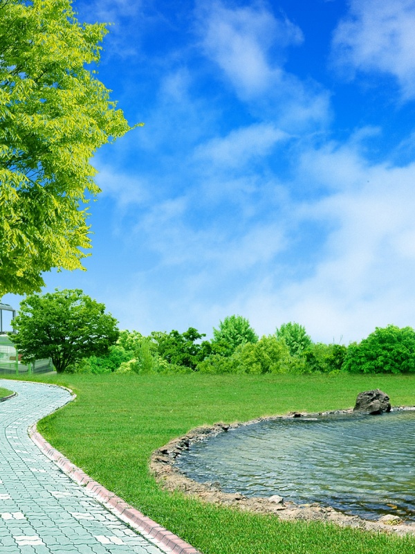 大阪nk細(xì)胞多少錢？了解這些信息讓你做出明智選擇