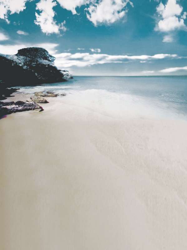 大阪nk細(xì)胞培養(yǎng)基：未來醫(yī)療的新希望