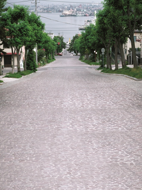 大阪nk細(xì)胞療法的醫(yī)院：療效與選擇的奧秘