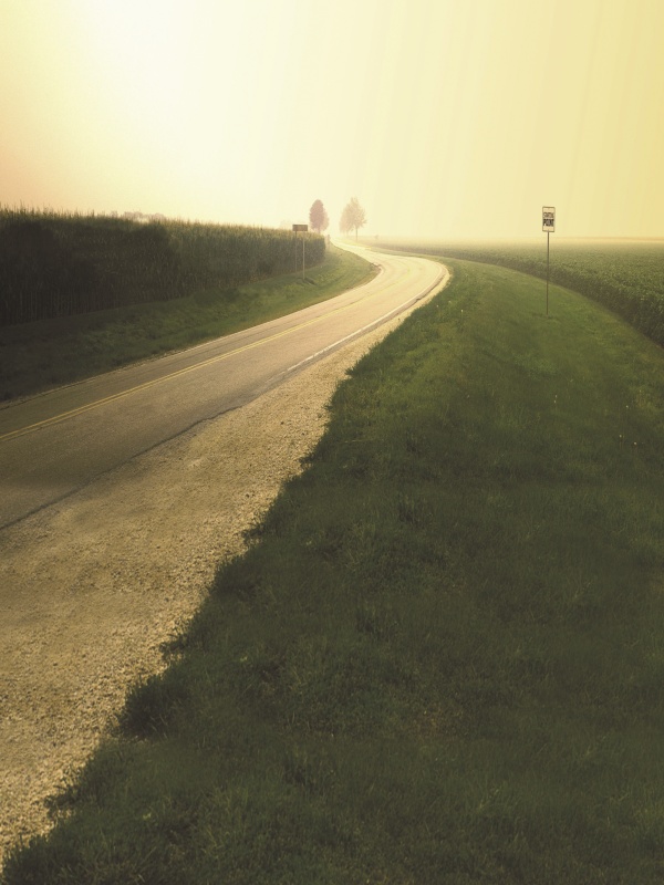 東京免疫療法是否影響血液系統(tǒng)抗體生成？親身經(jīng)歷告訴你真相