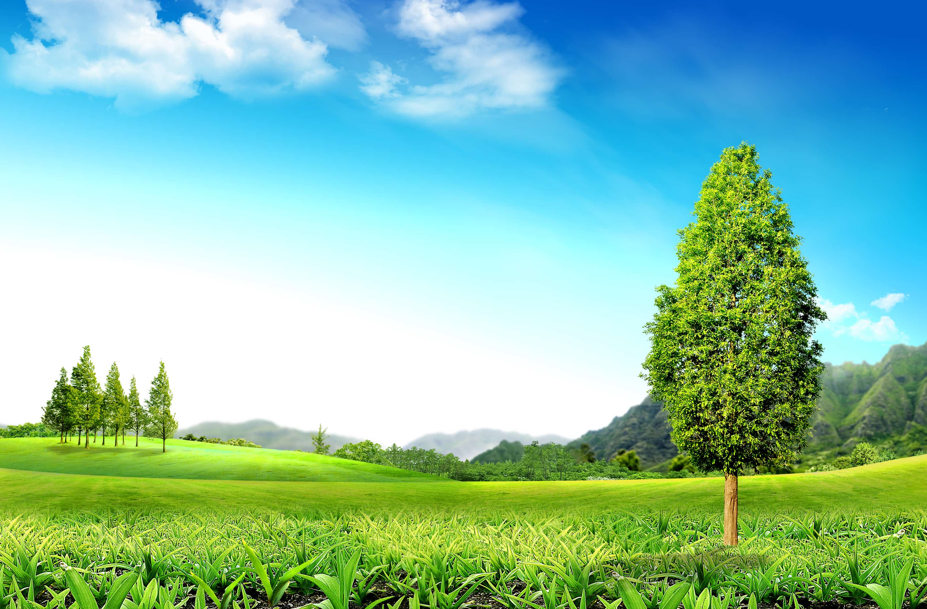 越來越多人選擇歐洲干細(xì)胞什么用途比較好用，真的值得嘗試嗎？